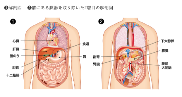 胃痛の場所チェック