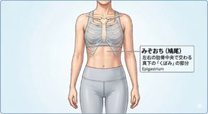 図解：みぞおちの場所